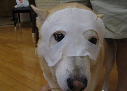 和老公一起敷面膜的说说朋友圈