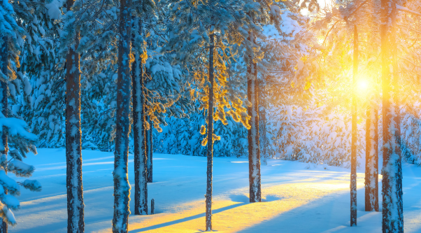 冬天的第一场雪要和喜欢的人一起看 和喜欢的人一起看第一场雪的说说