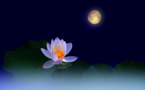 夫妻长久祝福语