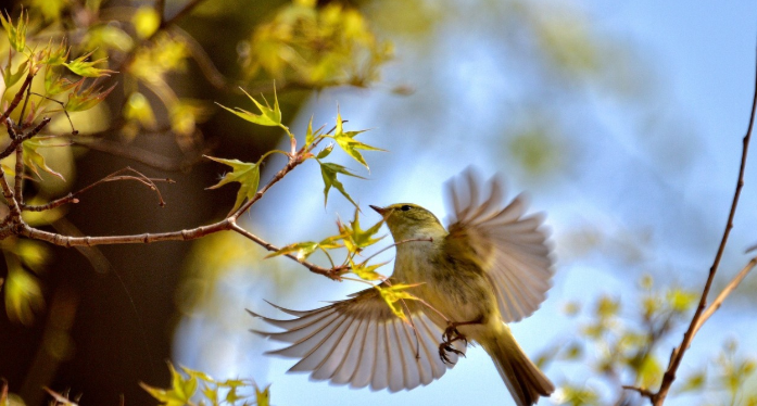 国庆假结束了发朋友圈怎么发 国庆收假怎么发朋友圈