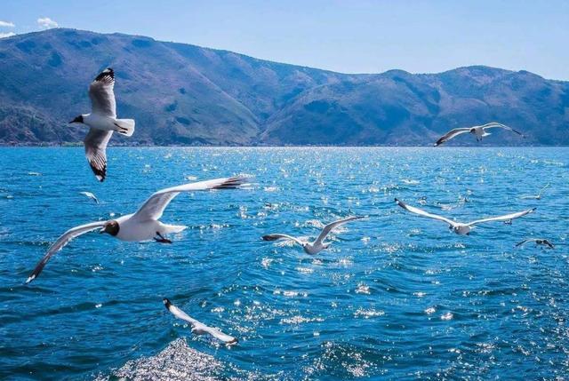 短暂的旅行结束说说 短暂的旅行结束句子