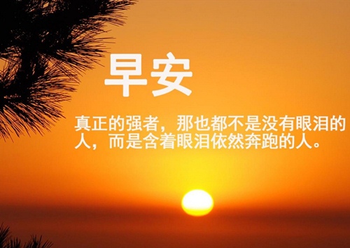 2020年最火的早安句子 适合大清早发的朋友圈