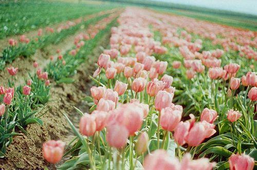 对在乎的人说的晚安暖心话