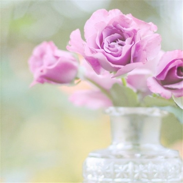 给朋友找对象文案怎么写 帮朋友求对象的朋友圈