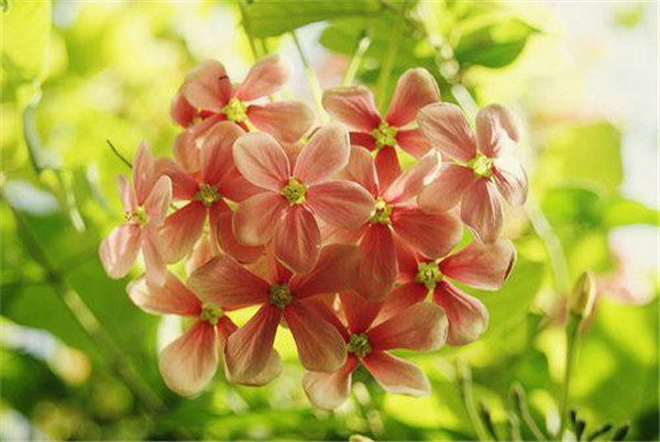 2020全新的早安句子简短 2020全新的早安句子励志