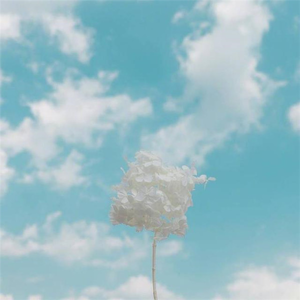 晚安情话最暖心爱的人 晚安情话最暖心短句