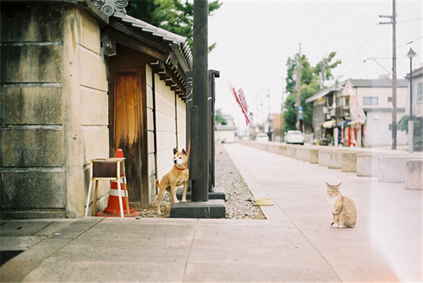 晚安问候语简短一句话