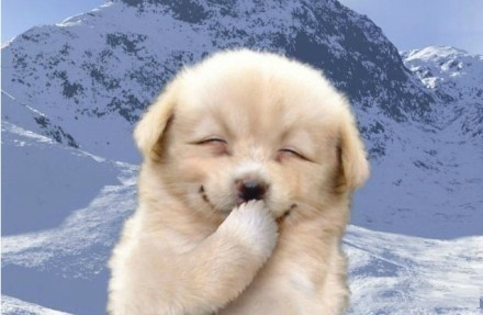 双十一给老婆发多少红包