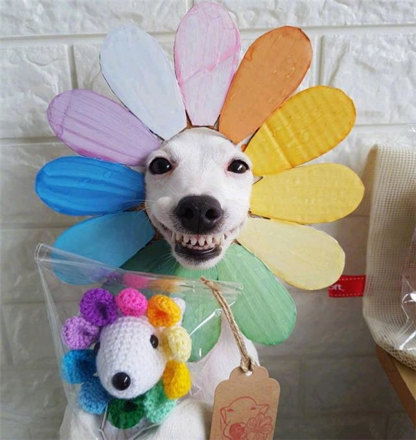 哄女朋友睡觉的超甜故事 哄对象的浪漫小故事