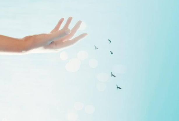 2020双十一购物狂的搞笑句子精选100句