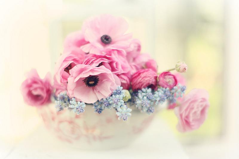 新娘手捧花一般多少支