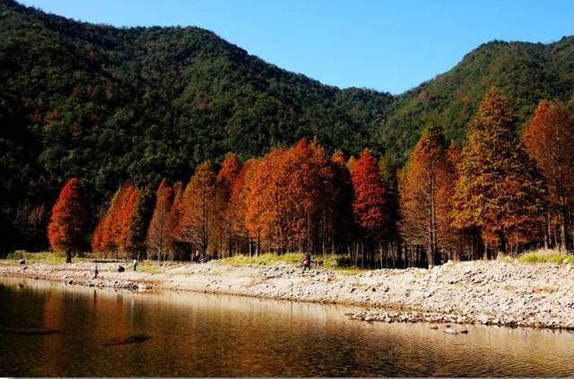 一日游的快乐心情句子 一日游的快乐心情短句