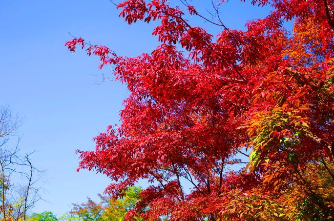10月份旅游较佳去处 10月份旅游较佳去处国内