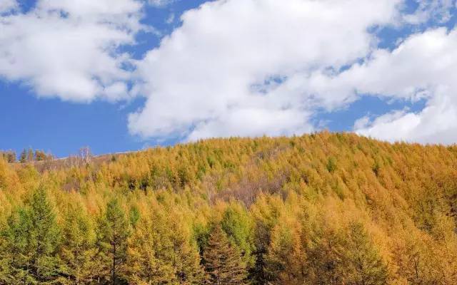 国内10月份旅游地方推荐 10月国内旅游推荐去哪里