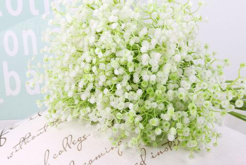 手捧花有哪些配花