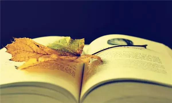 古风撩人情话100句