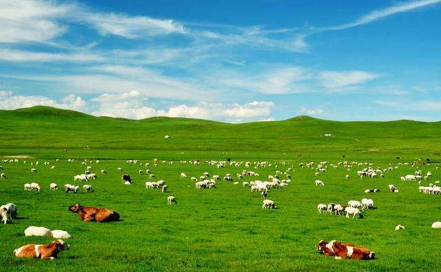 形容去郊外游玩好心情的句子 形容去郊外游玩好心情的说说