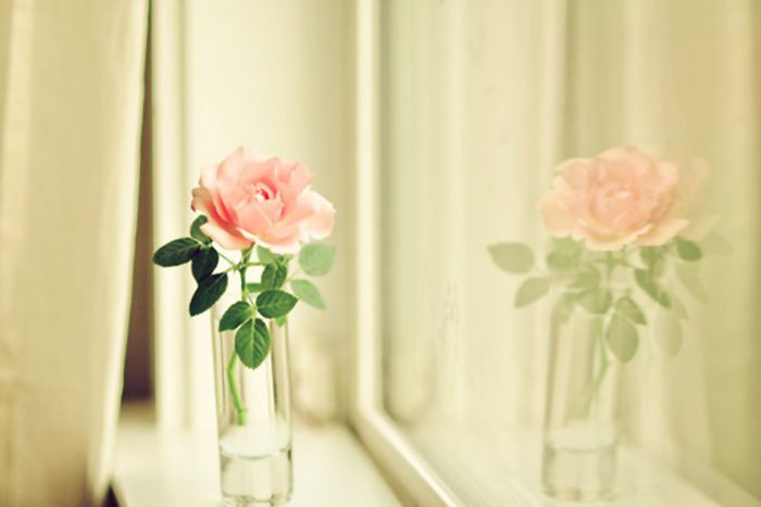 弟媳和大姑姐的相处方式