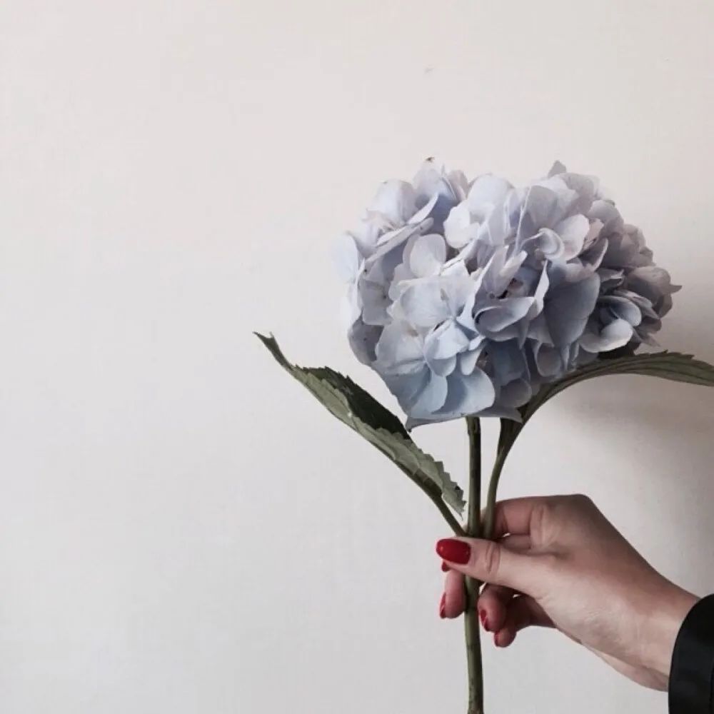 干净的短句子十字以内