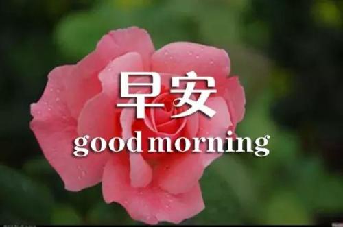 向老婆问候早安的句子 老婆早安暖心心语