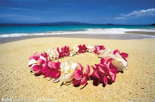 向老婆问候早安的句子