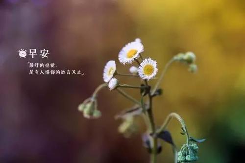 对老婆的暖心早安问候语 老婆早上感动问候语