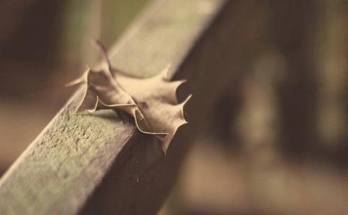 给老公的温柔早安问候