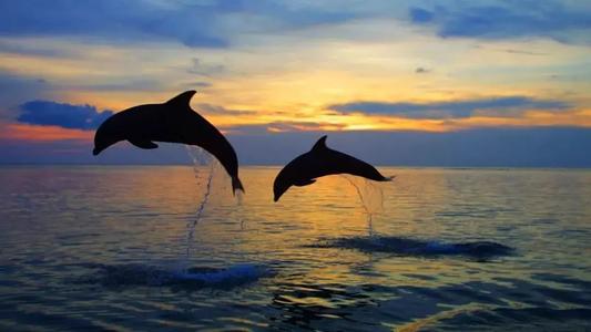 情侣蜜月旅行该准备什么东西 蜜月旅行需要注意什么