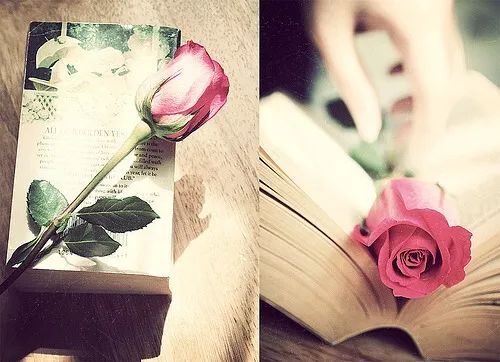 给自己喜欢的女孩子表白的情话