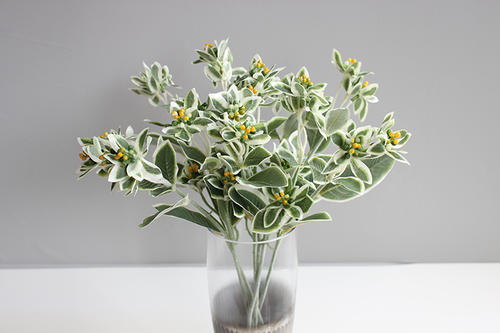 创意手捧花哪些