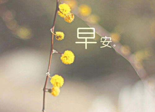 买了房子发什么朋友圈 买完房如何发朋友圈