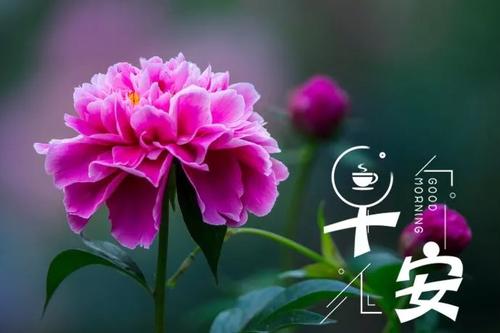 买了房子发什么朋友圈