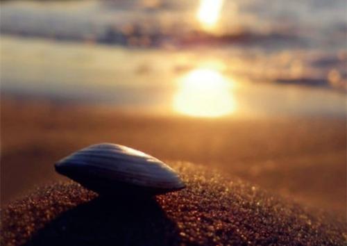 买了房子发什么朋友圈