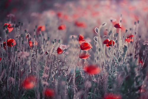 夫妻收房喜悦心情怎么写