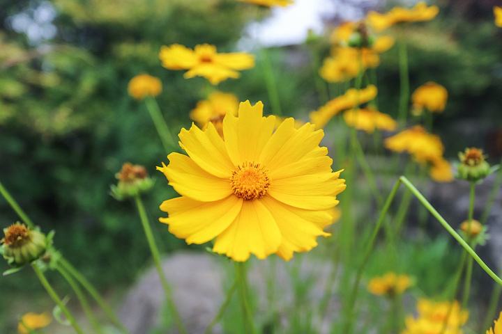 老公提车老婆怎么发朋友圈