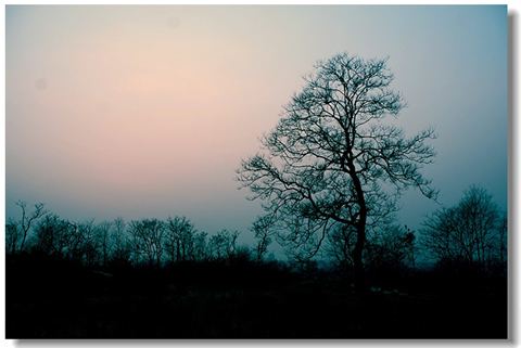 老公买车的吉祥语言