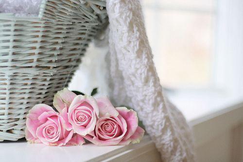 一天一句告白短情话