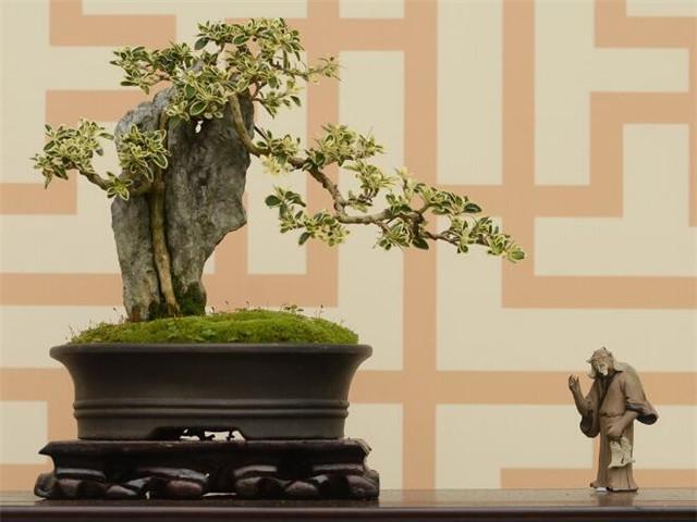 乔迁第一个进门拿什么