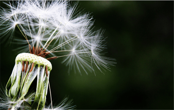 生日情话短句十字以内