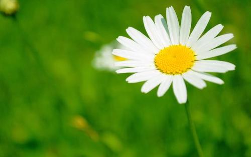 老公去考试怎么讲祝福