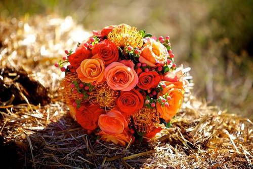 如何哄女朋友开心的故事 哄女朋友开心的故事长篇