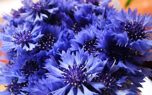 收到捧花怎么晒朋友圈