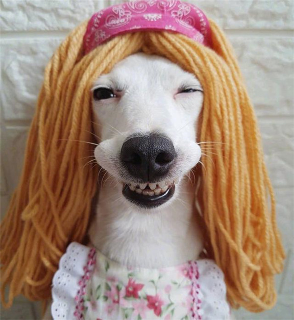 公开恋情甜甜的文案