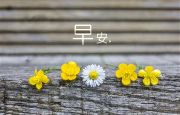 最能打动人心的早安问候情人 抖音最近很火的早安句子