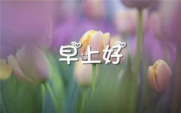 最能打动人心的早安问候短句 最能打动人心的早安问候简短