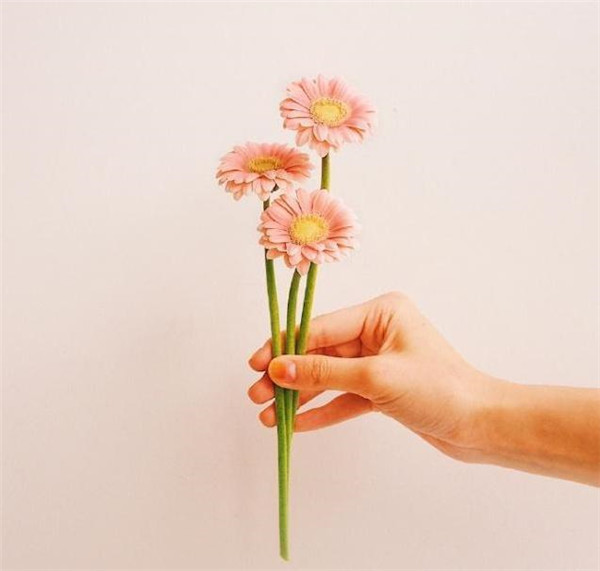 安慰失恋的人的暖心话简短 安慰失恋的人的暖心话语温馨句子