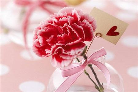 感恩节送什么花给妈妈 感恩节送哪些花