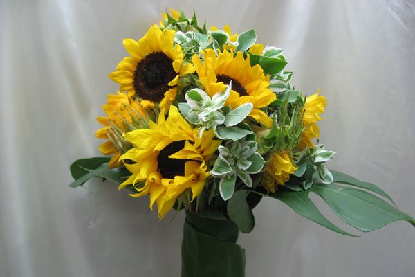 感恩节送什么花给妈妈