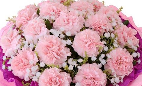 感恩节适合送什么花