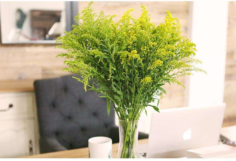 手捧花里面的草 手捧花里放什么绿色植物